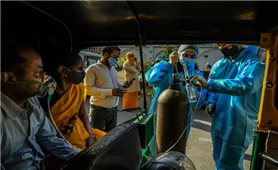 Thế giới ghi nhận hơn 154 triệu ca nhiễm COVID-19, hệ thống y tế Ấn Độ hoạt động cầm chừng