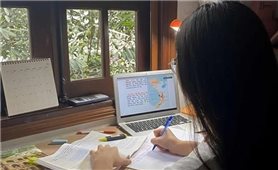 Học sinh lớp 12 ở Hà Nội làm bài khảo sát trực tuyến