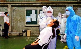 Trưa 31/5, có thêm 68 ca mắc mới COVID-19 trong cộng đồng