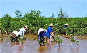 Khẳng định đóng góp có trách nhiệm của Việt Nam trong ứng phó với biến đổi khí hậu
