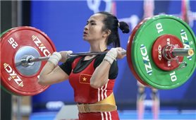 Cử tạ Việt Nam giành 3 vé đến Olympic Tokyo