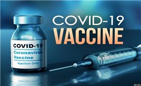 Số ca nhiễm và tử vong do COVID-19 giảm song vẫn ở mức cao