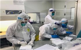 Sáng 16/6, Việt Nam ghi nhận thêm 92 ca mắc mới COVID-19