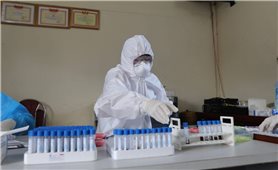 Trưa 22/6, Bình Dương có 33 ca mắc mới COVID-19, liên quan đến ổ dịch tại các công ty