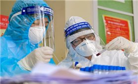 Tối 26/6: Việt Nam có thêm 123 ca mắc COVID-19