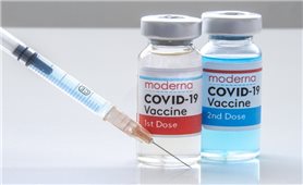Việt Nam phê duyệt khẩn cấp vaccine Moderna của Mỹ