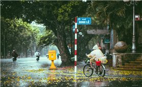 Thời tiết ngày 19/7: Bắc Bộ và Thanh Hóa có mưa to và dông