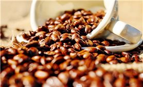 Giá cà phê hôm nay 27/7: Thị trường trong nước vượt 38.000 đồng/kg