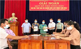 Lào Cai: Giải ngân 700 triệu đồng cho 14 hộ dân tham gia Dự án 