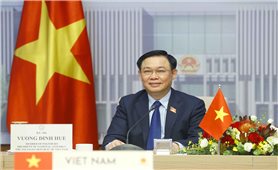 Thúc đẩy hợp tác kinh tế, thương mại Việt Nam-Morocco tương xứng với mối quan hệ chính trị tin cậy