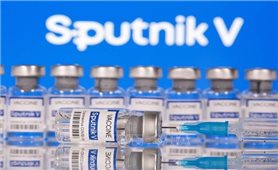 Chính phủ đồng ý đàm phán mua 40 triệu liều vaccine Sputnik V