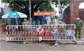 Ninh Thuận: Khởi tố vụ án làm lây lan dịch bệnh tại huyện Ninh Phước