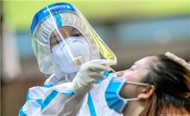 Tối 17/7: Việt Nam có thêm 1.612 ca mắc mới COVID-19