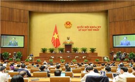 Kỳ họp thứ nhất, Quốc hội Khóa XV: Bảo đảm tiến độ xây dựng luật, pháp lệnh