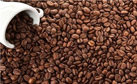 Giá cà phê hôm nay 3/8: Thị trường trong nước giảm 400 - 600 đồng/kg