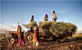 Tương lai của ngành nông nghiệp Ấn Độ