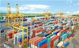 Việt Nam – UAE: Kim ngạch xuất nhập khẩu 7 tháng đầu năm tăng 37,8%