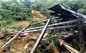 Tuyên Quang: Sạt lở đất khiến 3 trẻ nhỏ trong cùng một gia đình tử vong