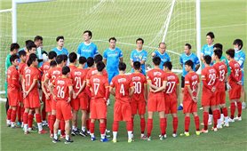 Đội tuyển Việt Nam lên đường với nỗi lo chấn thương