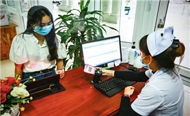 Quảng Trị: Nhóm đối tượng tham gia Bảo hiểm xã hội tự nguyện tăng mạnh