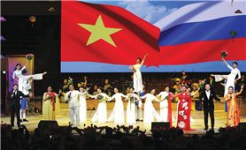 Đẩy mạnh triển khai Chiến lược văn hóa đối ngoại của Việt Nam