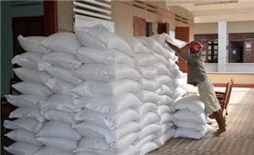 Chính phủ xuất cấp hơn 1.847 tấn gạo hỗ trợ người dân tỉnh Quảng Nam, Quảng Ngãi bị ảnh hưởng bởi dịch Covid-19