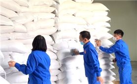 Xuất cấp gạo và hàng dự trữ quốc gia hỗ trợ Gia Lai, Bình Phước, Sóc Trăng