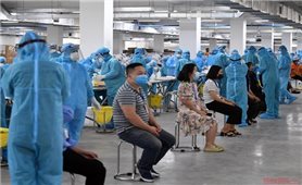 Sáng 21/9: Cả nước có hơn 464.300 bệnh nhân COVID-19 đã khỏi bệnh