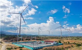 Trungnam Group hoàn thành vận hành thương mại Dự án Điện gió số 5 – Ninh Thuận