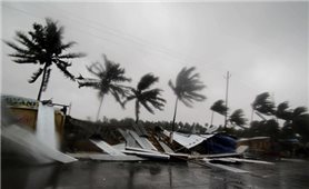 Áp thấp nhiệt đới đã mạnh lên thành bão - Cơn bão số 7