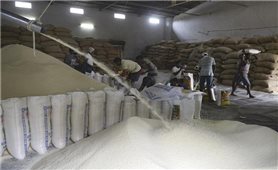 Thị trường nông sản tuần qua: Giá gạo tại các 