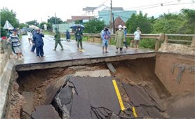 Bình Định: Mưa lớn trên diện rộng, nhiều địa phương bị ngập, nguy cơ sạt lở cao