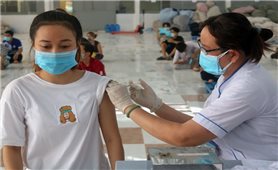 Bộ Y tế tập huấn, hướng dẫn 63 tỉnh thành triển khai tiêm vaccine phòng COVID-19 cho trẻ