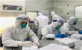 Sáng 3/11: Việt Nam còn 427 ca COVID-19 phải thở máy, ECMO