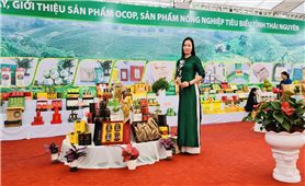 Nữ doanh nhân với sản phẩm Sâm Bố Chính trên đất chè Thái Nguyên