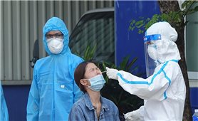 Sáng 5/11: Cả nước có 835.406 ca COVID-19 đã khỏi bệnh