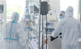 Sáng 6/11: Cả nước còn 420 bệnh nhân COVID-19 nặng phải thở máy, ECMO