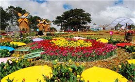 Lâm Đồng: Dừng tổ chức Festival hoa Đà Lạt lần thứ IX năm 2021