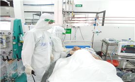 Sáng 13/11: Cả nước còn 431 ca bệnh COVID-19 thở máy, ECMO