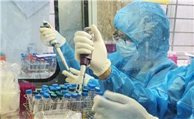 Ngày 21/11, ghi nhận thêm 9.889 ca nhiễm Covid-19, 5.163 ca khỏi bệnh