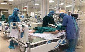 Sáng 26/11: Cả nước có 751 bệnh nhân COVID-19 đang thở máy, ECMO