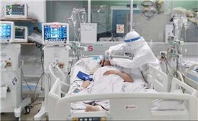 Sáng 29/11: Cả nước còn 767 ca COVID-19 nặng phải thở máy, ECMO