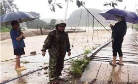 Đắk Lắk: Khẩn trương khắc phục hậu quả mưa lũ