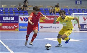 Hủy Giải Futsal Cúp Quốc gia 2021 do dịch COVID-19