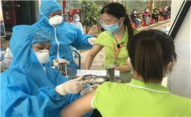 Sáng 28/12: Cả nước có 1.259.614 ca COVID-19 đã khỏi bệnh