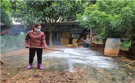 Lào Cai: Tăng cường khuyến cáo người dân phòng bệnh dịch tả lợn Châu Phi