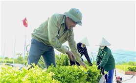 Những việc làm vì cộng đồng của Người có uy tín ở Quảng Ninh: Đi đầu trong phong trào xây dựng nông thôn mới (Bài 3)