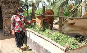 Tạo điều kiện giúp phụ nữ Khmer xóa đói giảm nghèo, nâng cao chất lượng cuộc sống
