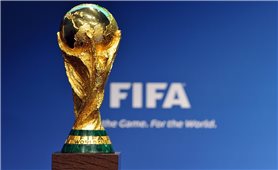 World Cup 2026: Công bố 16 địa điểm diễn ra các trận đấu