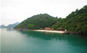 Khách du lịch bức xúc khi tham quan Vịnh Hạ Long lại không được đến đảo Soi Sim